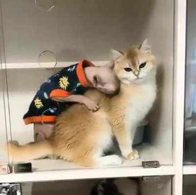 Cat knows what it wants .