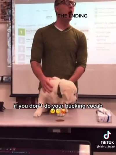 Vocab dog