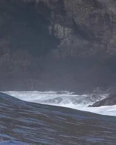 Впечатляет. Водные забавы тюленей во время шторма.