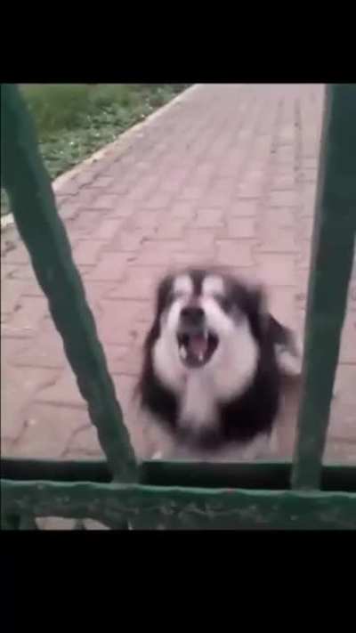 Aaaaaa