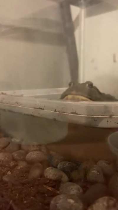 Mustard, everyone