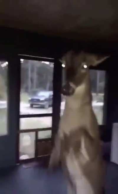 wtf