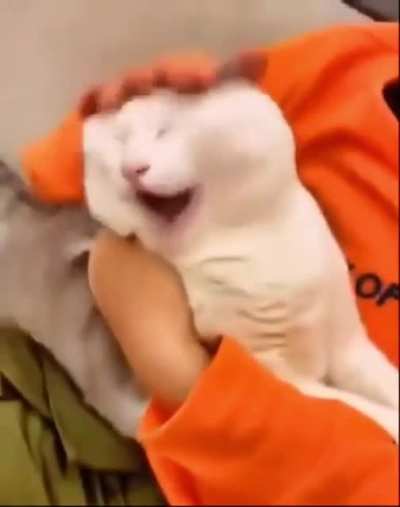 My dad: I hate pets 😡 Also him:
