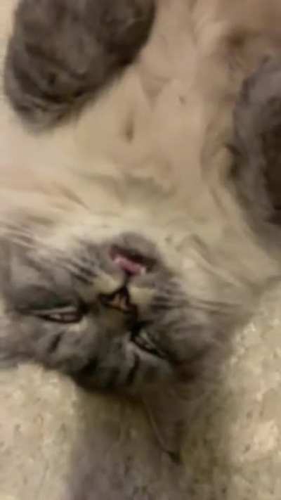 Had a bit too much.