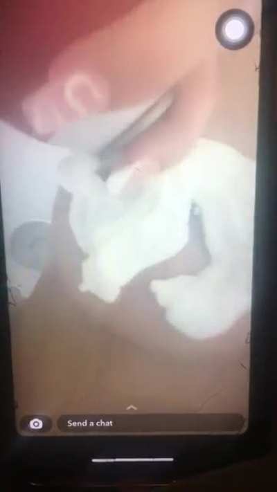 Whipped cream