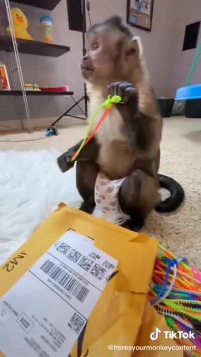 So cute but he should be in the wild.