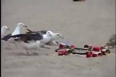 Blursed_Dinner