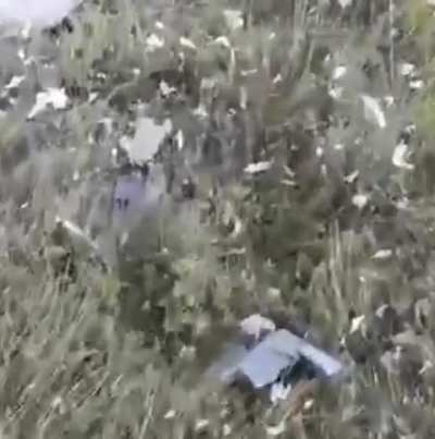Prizogzhins plane “Crashes”