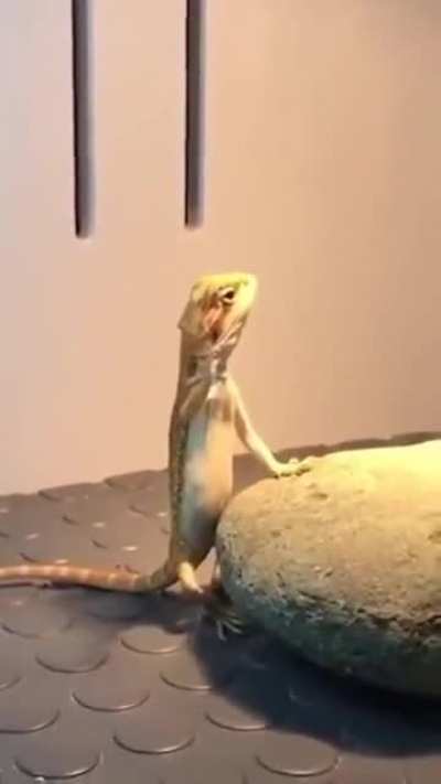 When she say 