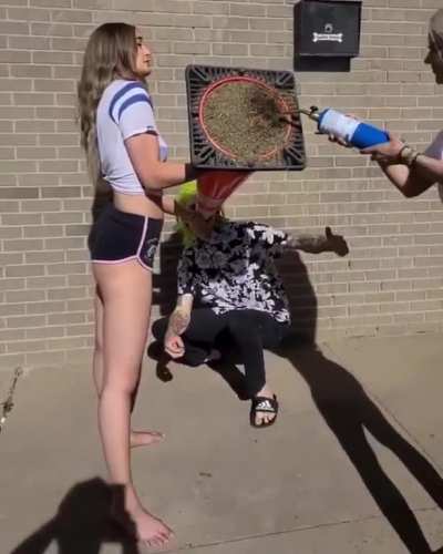Xd?