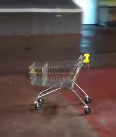 Going shopping someday