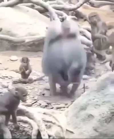 Holy Shit