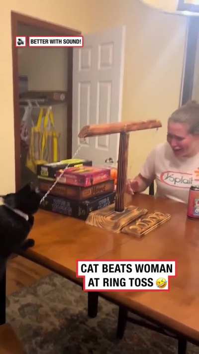 Cat vs Woman
