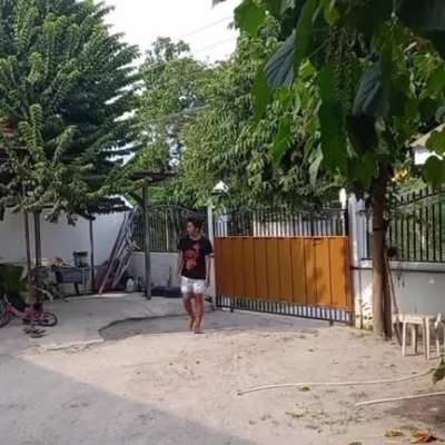 Become Tree