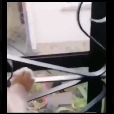 •