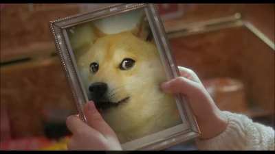 Woof
