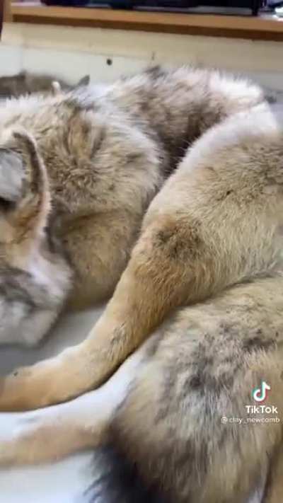 Thanks I hate this pillow