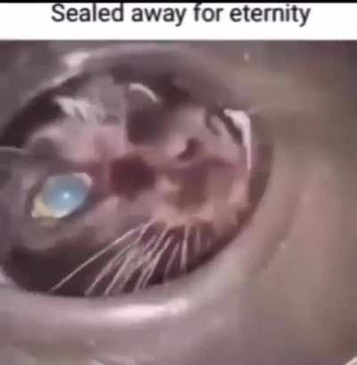 Eternity rule