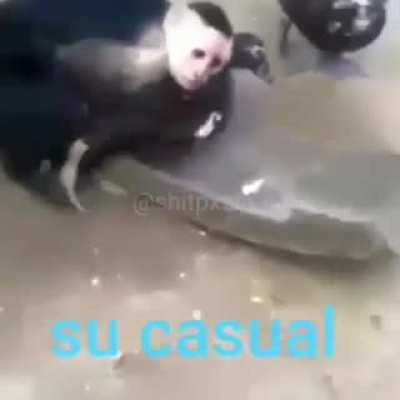 Casual😎