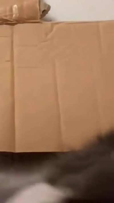 AAAAA