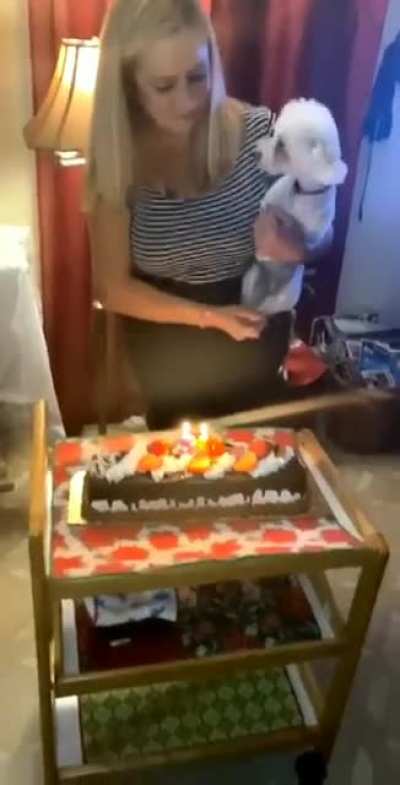 well, it's its birthday 🤷🏻‍♂️