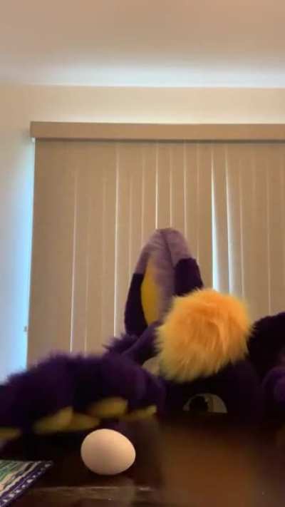 E G G