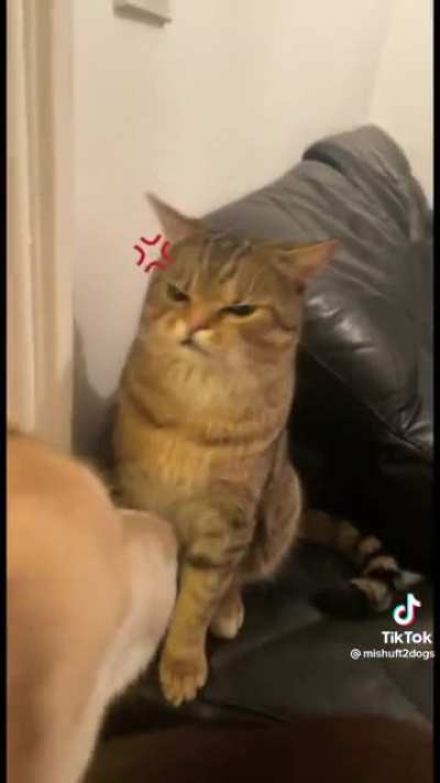 They just want love