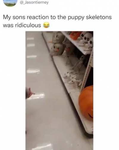 Papi puppy!