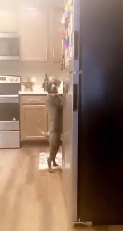 Just act normal