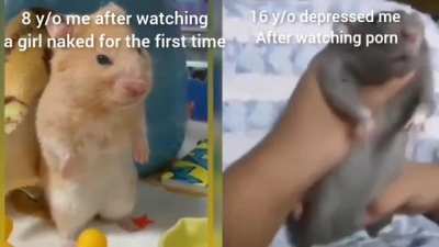 OC meme