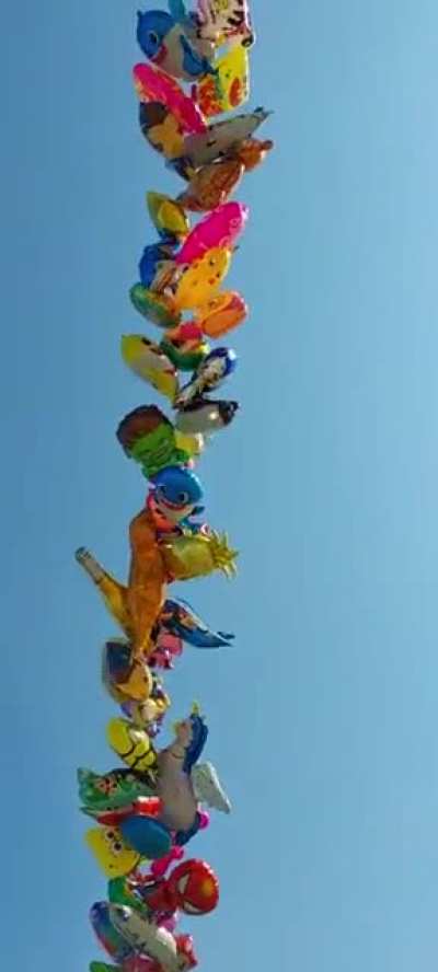 Carl Fredricksen, The balloon seller.