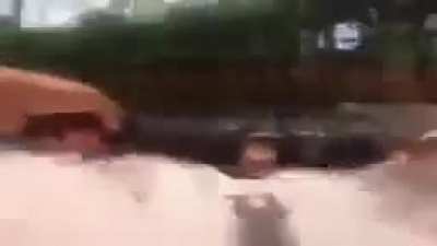 Peruano felis dando vueltas