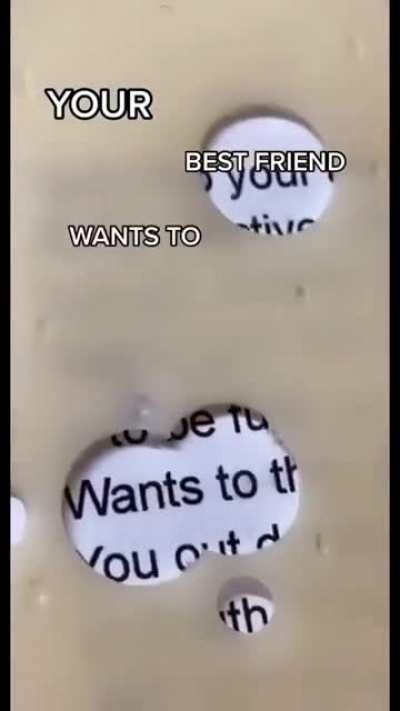 The chesse never lies