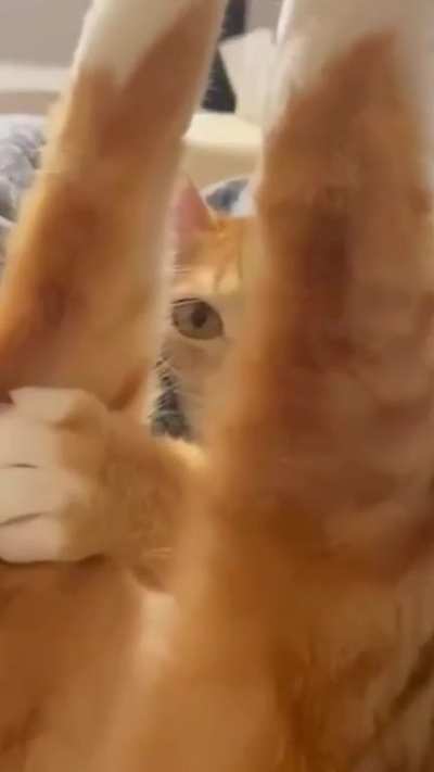Which yoga pose is he doing? Wrong answers only