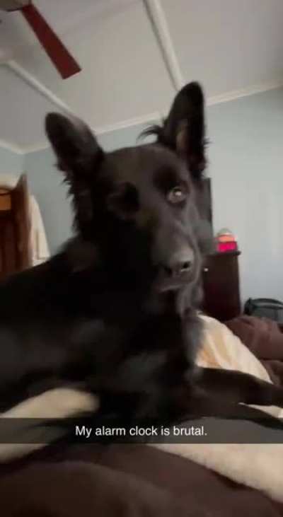 Best alarm clock ever
