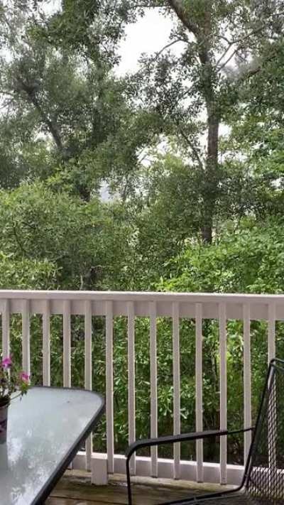 It’s been raining a lot here in Wilmington, NC.
