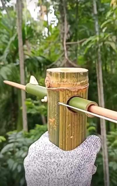 ThisLooksFun 