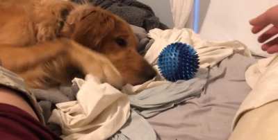 Laziest game of catch
