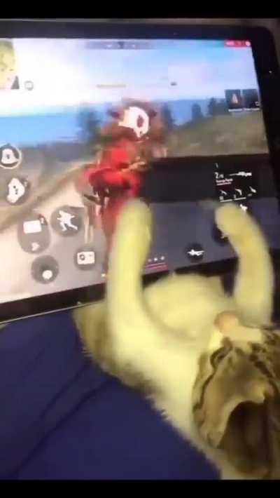 Pro gaming wunkus.