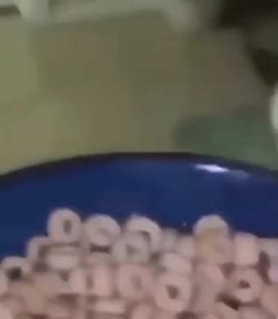 Cheerios go burrrrr