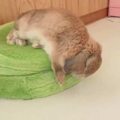 He's too tired to care