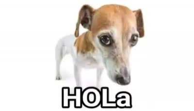 Hola xdxdxd xdxd