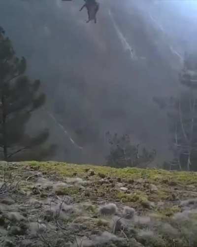 An Eagle flying away with it's hunt...