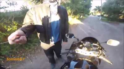 Vehicle theft