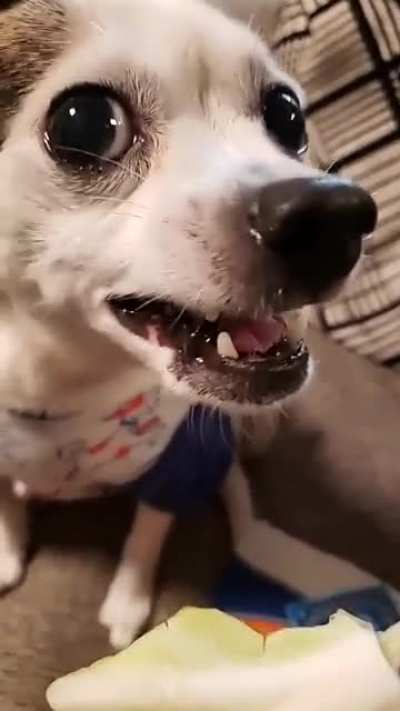 Lil sweetie gets a healthy treat!