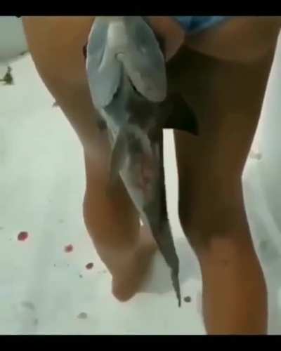 WTF