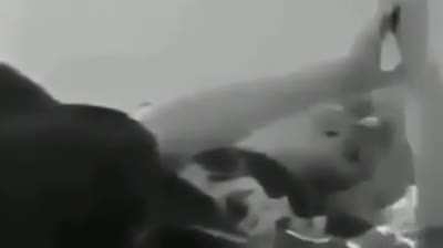 Im Cumming aaaaa