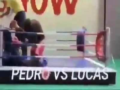 PEDRO LUTA LIVRE