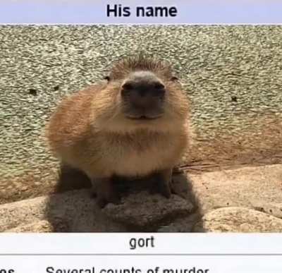 Gort