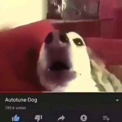 KARAIO , O DOG E PROFISSA DMS KKKKK